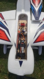 fly6.jpg