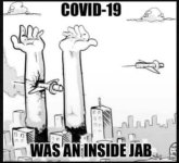 insidejab.jpg