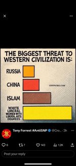 dumbitches.jpg