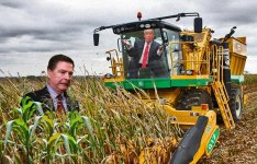 harvesting.jpg
