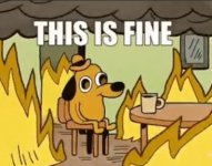 thisisfine.JPG