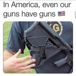 gunhavegun.jpg