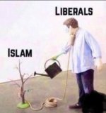 treeoftruth.jpg