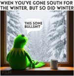 bssouth.jpg
