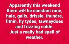 badwether.jpeg