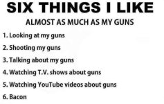 ilikeguns.jpg