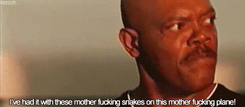 MRW-I-ve-had-with-these-snakes-on-this-motherfucking-plane